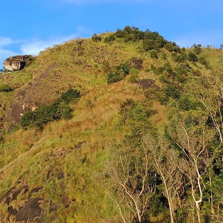 Munnar Green Home Anaviratty Dış mekan fotoğraf