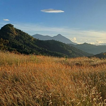 Munnar Green Home Anaviratty Dış mekan fotoğraf