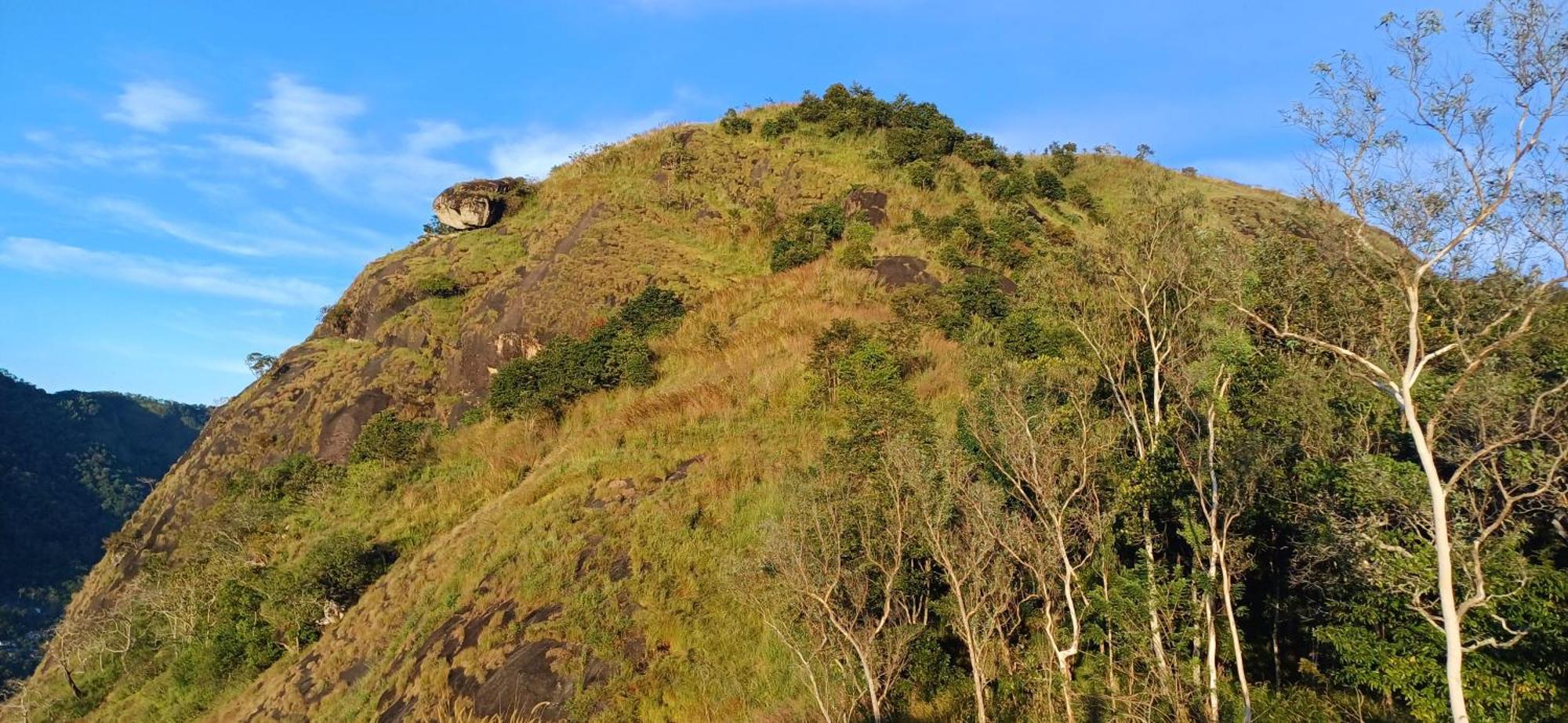Munnar Green Home Anaviratty Dış mekan fotoğraf