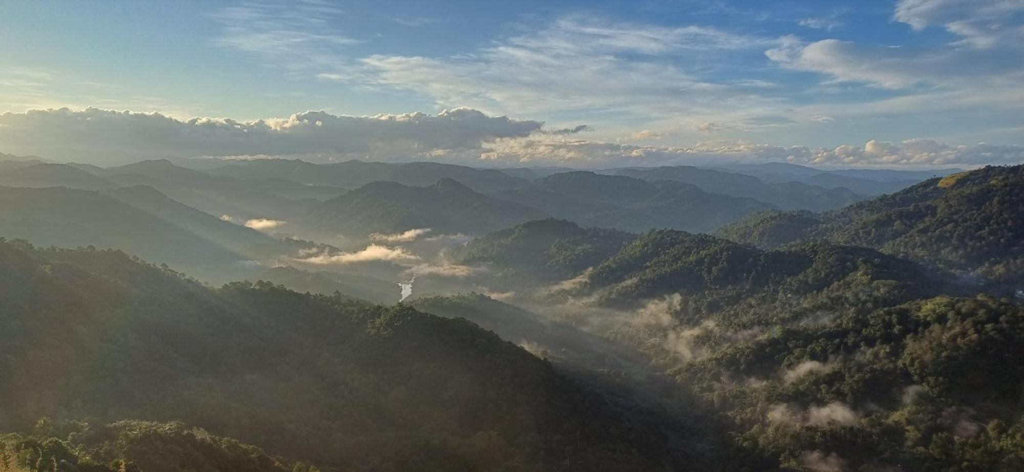 Munnar Green Home Anaviratty Dış mekan fotoğraf